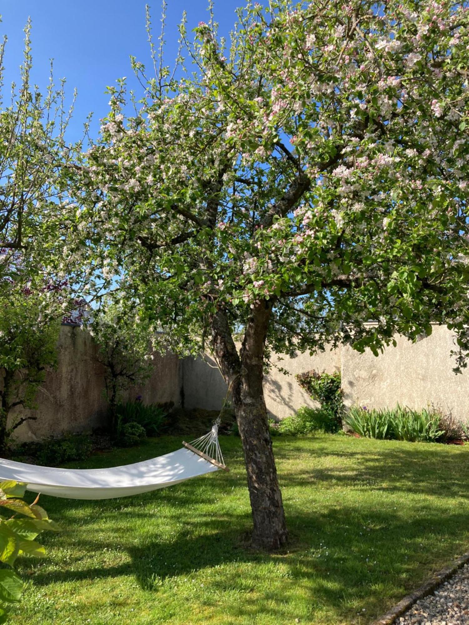 Maison Les Beaux Arts Mouzay  Luaran gambar